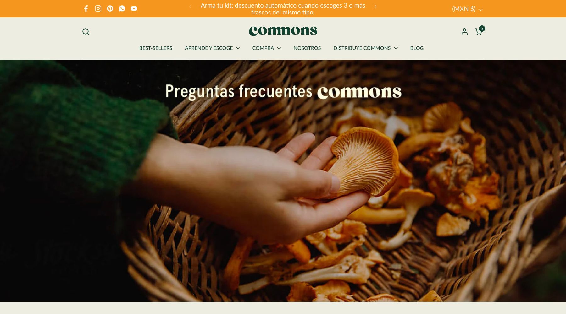 Commons official frequently asked questions page featuring the brand's adaptogen education